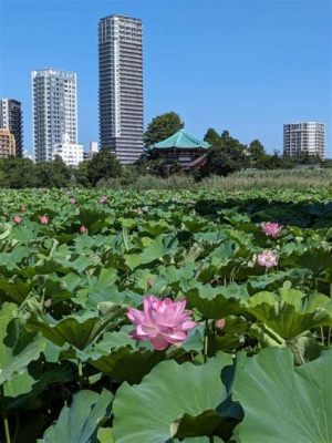 パークタワー上野池之端、なぜかそこには猫の影が