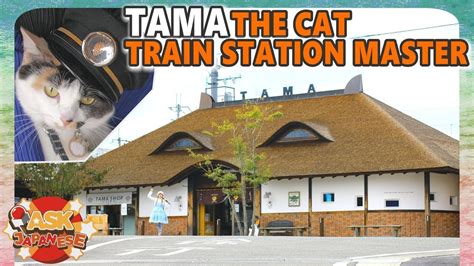 多摩センター駅 ホテル そして、なぜ猫はホテルのベッドを好むのか？