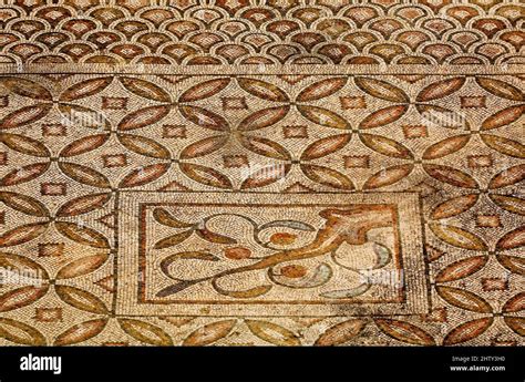  Xanthos Mosaics: Illuminating History Through Fragmentary Brilliance!